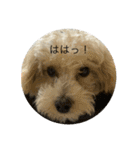 sakananu616（個別スタンプ：2）