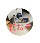 sakananu616（個別スタンプ：5）
