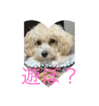 sakananu616（個別スタンプ：6）