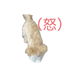 sakananu616（個別スタンプ：8）