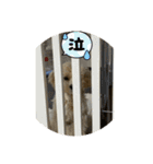 sakananu616（個別スタンプ：11）
