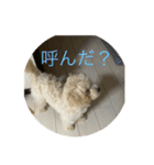 sakananu616（個別スタンプ：16）