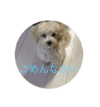 sakananu616（個別スタンプ：18）