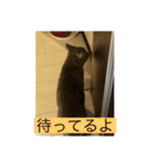sakananu616（個別スタンプ：26）