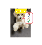 sakananu616（個別スタンプ：38）