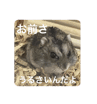 カイチャンstamp（個別スタンプ：1）