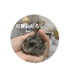 カイチャンstamp（個別スタンプ：6）