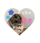 カイチャンstamp（個別スタンプ：9）