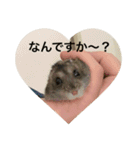 カイチャンstamp（個別スタンプ：14）