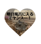 カイチャンstamp（個別スタンプ：19）