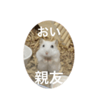 カイチャンstamp（個別スタンプ：23）