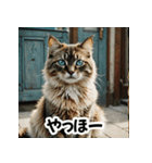 お友達とのやりとりを猫たちとともに。（個別スタンプ：1）