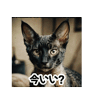 お友達とのやりとりを猫たちとともに。（個別スタンプ：4）