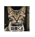 お友達とのやりとりを猫たちとともに。（個別スタンプ：5）