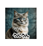 お友達とのやりとりを猫たちとともに。（個別スタンプ：6）
