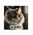 お友達とのやりとりを猫たちとともに。（個別スタンプ：8）