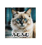 お友達とのやりとりを猫たちとともに。（個別スタンプ：9）