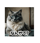 お友達とのやりとりを猫たちとともに。（個別スタンプ：10）