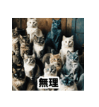 お友達とのやりとりを猫たちとともに。（個別スタンプ：11）