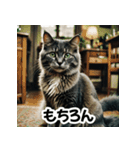 お友達とのやりとりを猫たちとともに。（個別スタンプ：13）