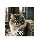 お友達とのやりとりを猫たちとともに。（個別スタンプ：14）