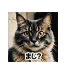 お友達とのやりとりを猫たちとともに。（個別スタンプ：15）