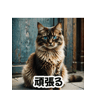 お友達とのやりとりを猫たちとともに。（個別スタンプ：21）