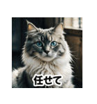 お友達とのやりとりを猫たちとともに。（個別スタンプ：22）