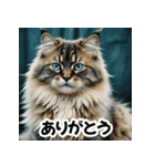 お友達とのやりとりを猫たちとともに。（個別スタンプ：23）