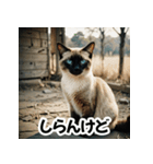 お友達とのやりとりを猫たちとともに。（個別スタンプ：24）