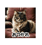 お友達とのやりとりを猫たちとともに。（個別スタンプ：25）