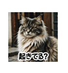 お友達とのやりとりを猫たちとともに。（個別スタンプ：27）