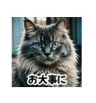お友達とのやりとりを猫たちとともに。（個別スタンプ：28）