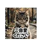 お友達とのやりとりを猫たちとともに。（個別スタンプ：29）