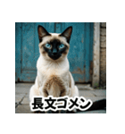 お友達とのやりとりを猫たちとともに。（個別スタンプ：30）