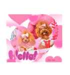 Reve＆Ruaファミリー（個別スタンプ：1）