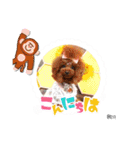 Reve＆Ruaファミリー（個別スタンプ：3）