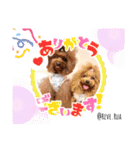 Reve＆Ruaファミリー（個別スタンプ：4）