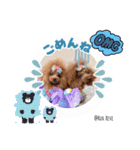 Reve＆Ruaファミリー（個別スタンプ：7）