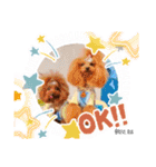 Reve＆Ruaファミリー（個別スタンプ：8）