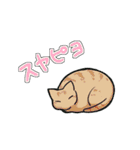 睡眠確認（個別スタンプ：24）