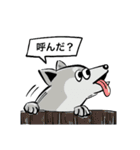 日常犬2（個別スタンプ：9）