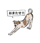 日常犬2（個別スタンプ：10）