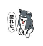 日常犬2（個別スタンプ：21）