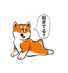 日常犬2（個別スタンプ：26）