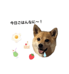 まいにちまるこ（個別スタンプ：6）