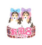 ゆるゆるシェルティスタンプ①（個別スタンプ：35）