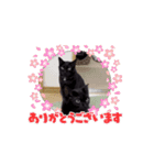 【動く】黒猫の福と華（個別スタンプ：15）