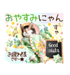 にゃ！猫語の三毛猫カフェなこねこちゃん（個別スタンプ：8）