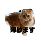 とろろともずく〜2024Summer〜（個別スタンプ：2）